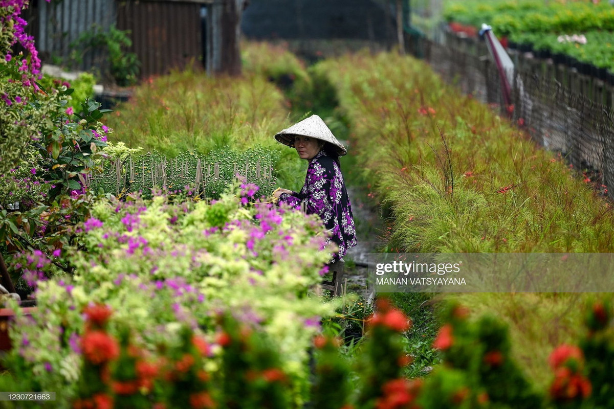 Không chỉ là một địa danh quen thuộc với khách mua hoa, cây cảnh, làng hoa Sa Đéc còn là một địa điểm tham quan lý thú ở dành cho khách thập phương ở mảnh đất Đồng Tháp.