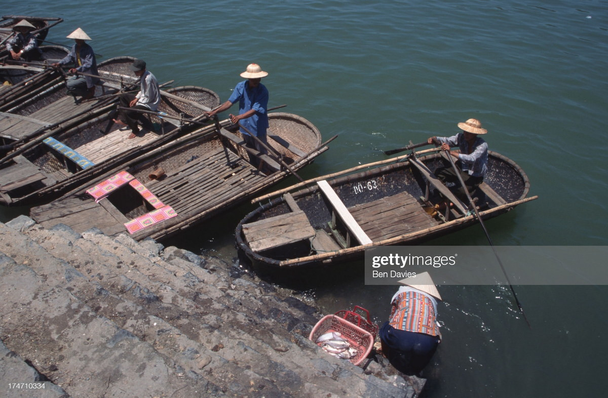 Những chiếc mủng tre tại một bến cá ở Cát Bà.
