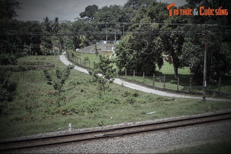 Dù đã được đề cập đến từ trước đó rất lâu, phải đến thời vua Tự Đức, cồn Dã Viên mới có tên chính thức. Chuyện bắt đầu khi vị vua có tâm hồn thơ phú dạt dào cho xây dựng một khu vườn ngự trên cồn và đặt tên là “Dữ Dã Viên”.