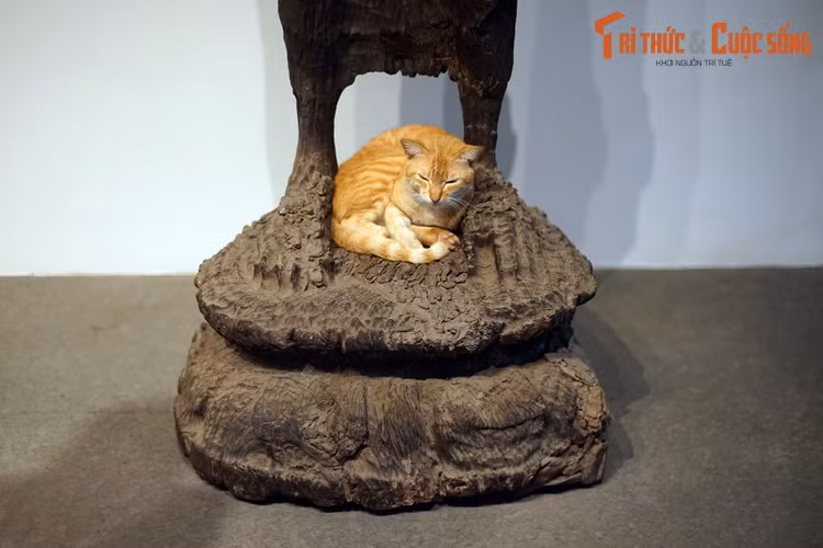 Tượng Phật bằng gỗ của văn hóa Óc Eo được coi là những tượng Phật gỗ cổ nhất không chỉ của Việt Nam mà của cả Đông Nam Á. Do chất liệu gỗ dễ phân hủy do tác động từ thời tiết, tượng gỗ tuổi đời hàng nghìn năm là loại hình hiện vật rất hiếm gặp trên thế giới.