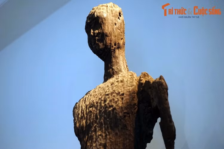 Đỉnh đầu tượng còn dấu vết Nhục khấu, tóc xoắn ốc. Trong các tượng Phật gỗ Óc Eo từng được phát hiện, tượng Phật Sa Đéc không phải bức tượng nguyên vẹn nhất, nhưng có kích thước đồ sộ nhất.