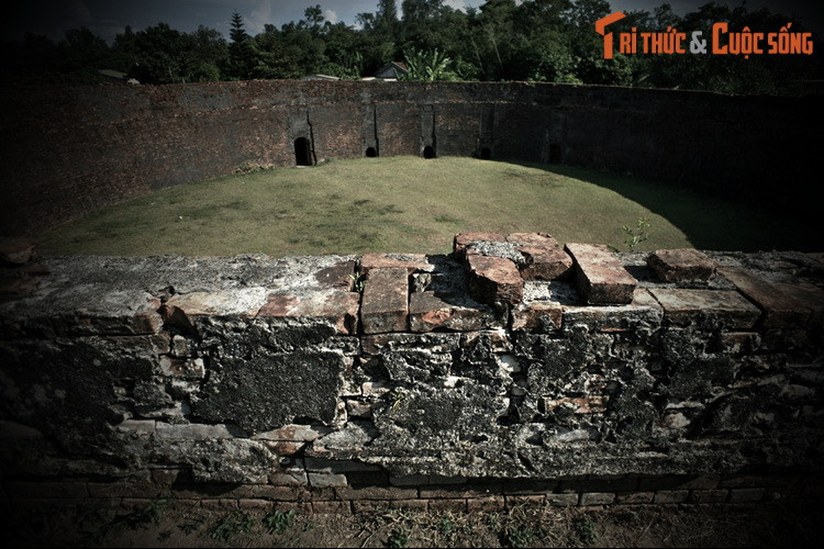 “...Vua Thành Thái khen: ‘Con này can đảm lắm". Nhưng bỗng chốc, cọp nhảy lên trán voi, voi hất mạnh, cọp rơi xuống. Cọp lại nhảy lên bấu vào chỗ cũ...”.