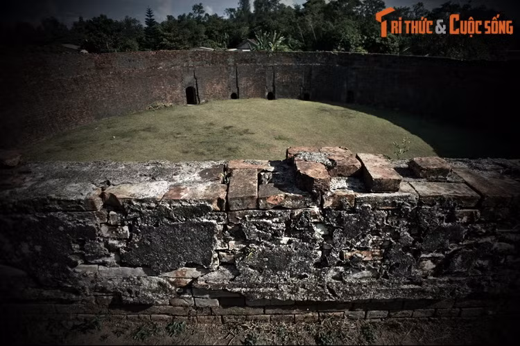 “...Vua Thành Thái khen: ‘Con này can đảm lắm". Nhưng bỗng chốc, cọp nhảy lên trán voi, voi hất mạnh, cọp rơi xuống. Cọp lại nhảy lên bấu vào chỗ cũ...”.
