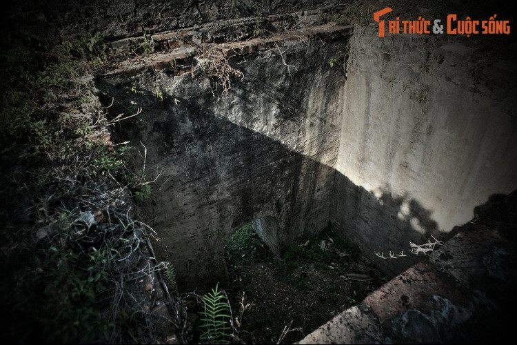 Cần nhắc lại rằng việc tổ chức các cuộc quyết đấu giữa voi và hổ trước hết xuất phát từ nhu cầu rèn luyện tượng binh, một binh chủng rất lợi hại của quân đội nước Việt trong nhiều thế kỷ. Vì vậy, bản chất của các cuộc đấu tại Hổ Quyền mang một tinh thần thượng võ sâu sắc...