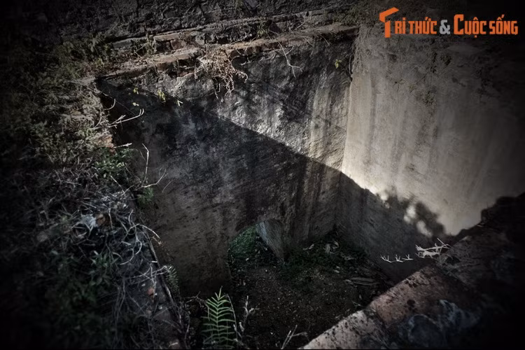 Cần nhắc lại rằng việc tổ chức các cuộc quyết đấu giữa voi và hổ trước hết xuất phát từ nhu cầu rèn luyện tượng binh, một binh chủng rất lợi hại của quân đội nước Việt trong nhiều thế kỷ. Vì vậy, bản chất của các cuộc đấu tại Hổ Quyền mang một tinh thần thượng võ sâu sắc...