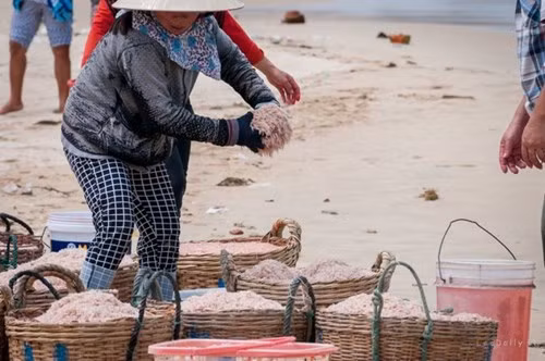 Tac hai khung khiep khi an con ruoc tam hoa chat do