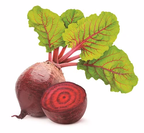 Chua tao bon hieu qua bang cu den