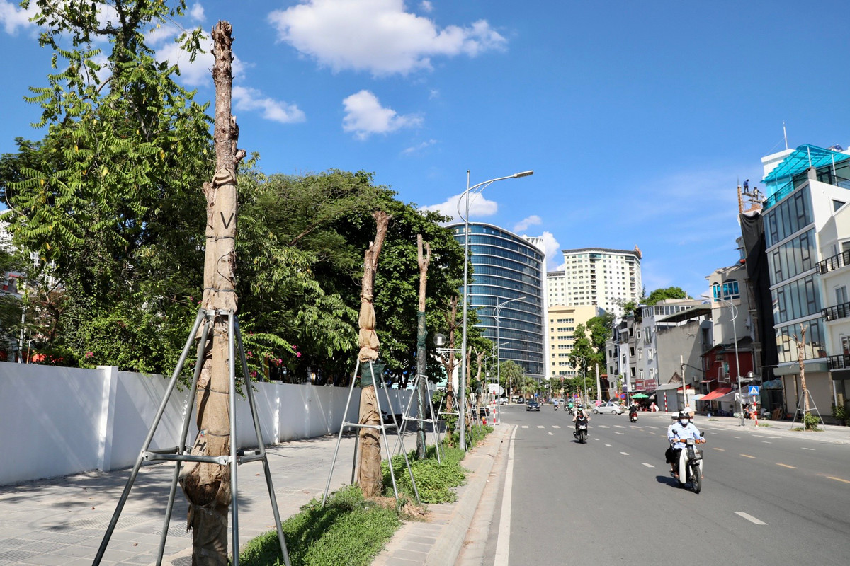 Tuyến đường Huỳnh Thúc Kháng kéo dài có chiều dài khoảng 1,3km, bề rộng mặt cắt ngang đường từ 28,3 - 30m, điểm đầu giao với ngã tư Huỳnh Thúc Kháng - Nguyễn Chí Thanh, điểm cuối tại vị trí nút giao Voi Phục.