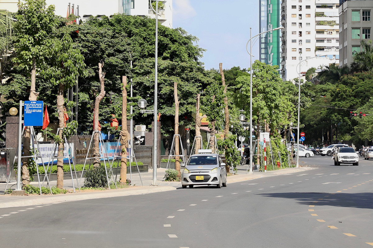 Theo ghi nhận của PV, dù mới được trồng lại vào đầu tháng 4, nhưng đến nay hàng loạt cây trên tuyến đường Huỳnh Thúc Kháng kéo dài (quận Đống Đa, Hà Nội) lại tiếp tục chết khô.
