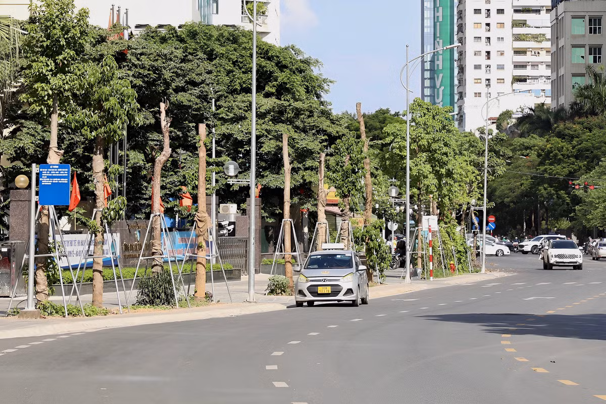 Theo ghi nhận của PV, dù mới được trồng lại vào đầu tháng 4, nhưng đến nay hàng loạt cây trên tuyến đường Huỳnh Thúc Kháng kéo dài (quận Đống Đa, Hà Nội) lại tiếp tục chết khô.