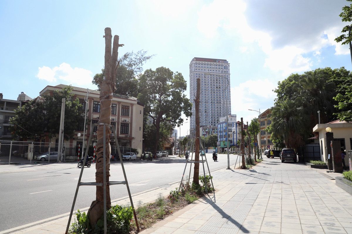 Tuyến đường Huỳnh Thúc Kháng kéo dài có tổng mức đầu tư hơn 340 tỷ đồng, trong đó gói thầu hạng mục trồng cây trị giá 2,5 tỷ đồng. Nhưng đây là lần thứ 2 liên tiếp hàng cây trồng tại vị trí vỉa hè không phát triển.