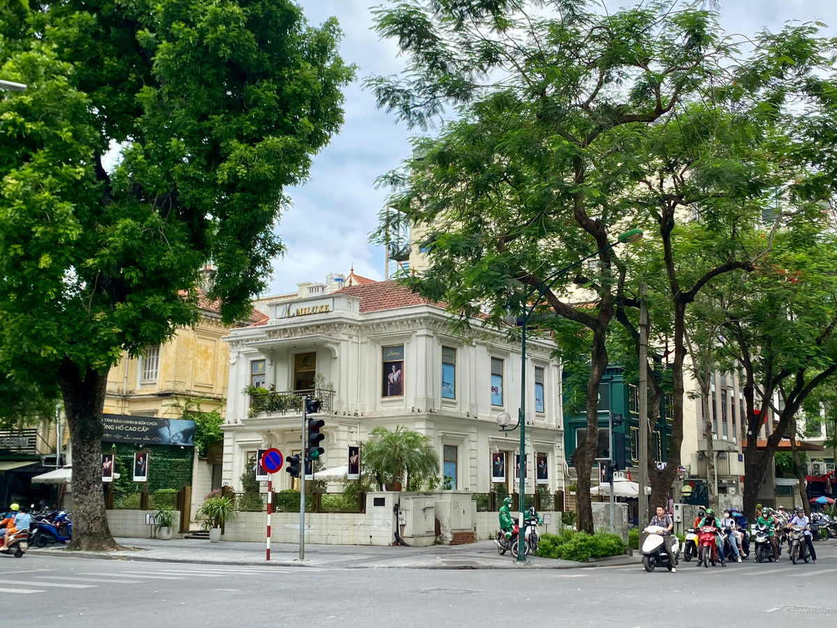 Cùng với đó còn rất nhiều căn biệt thự với diện tích hàng trăm mét vuông nằm ở những vị trí ngã tư phố.