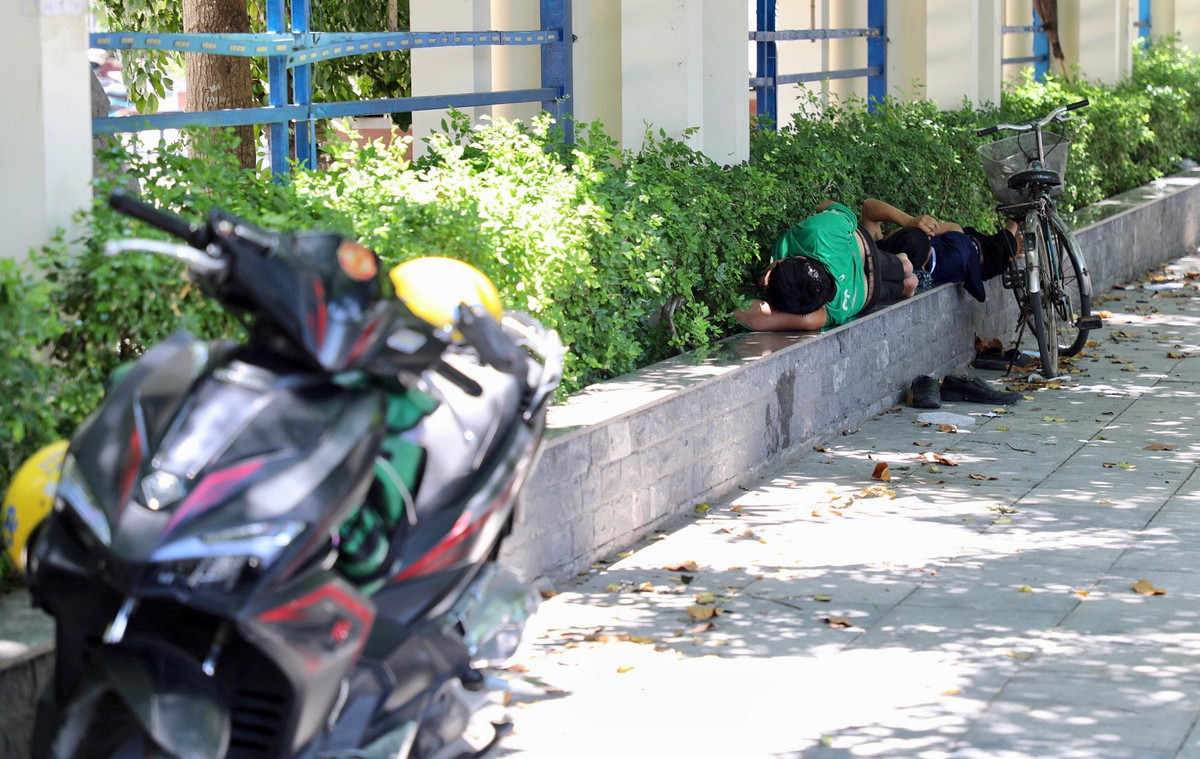 Giấc ngủ trưa vội vã.