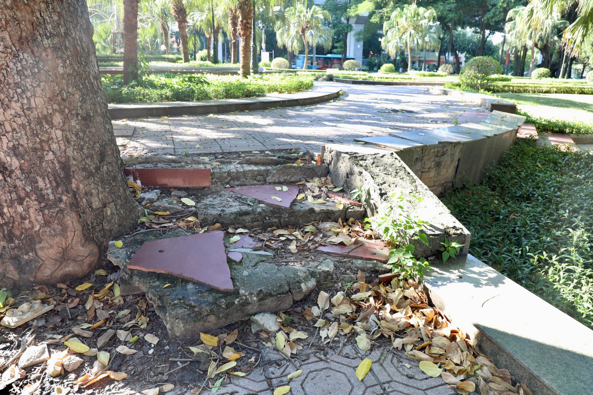 "Không gian xanh" trở nên hoang hóa do lâu ngày không được quan tâm, tu sửa.