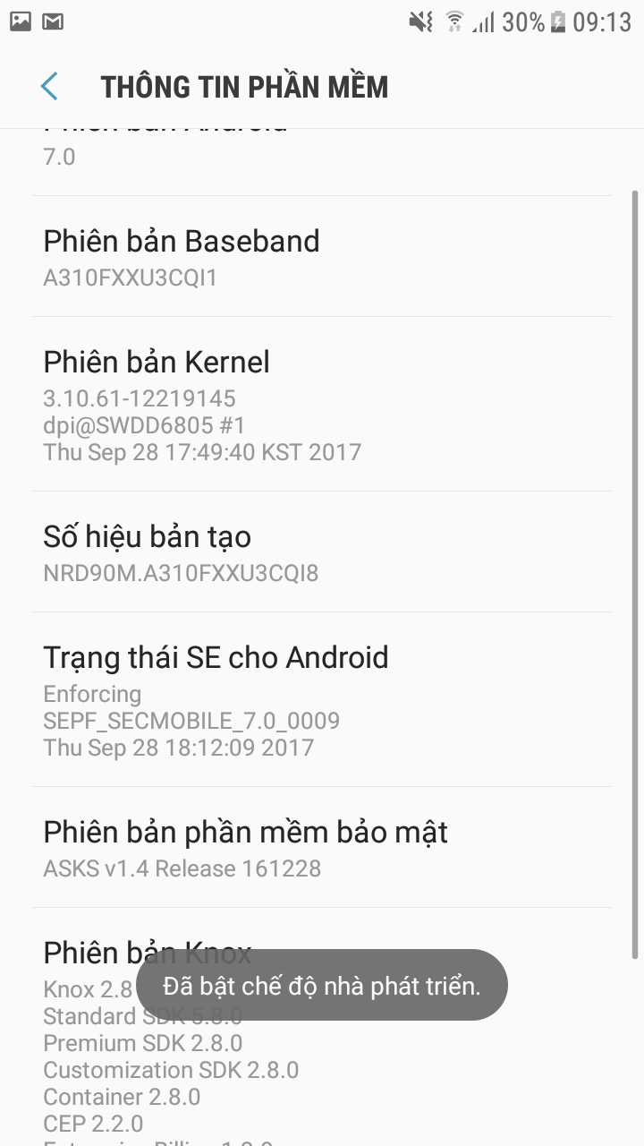 Bước 4: Nhấp đúp nhiều lần vào mục số hiệu bản tạo. Sau lần đút đó, máy sẽ thông báo bạn là nhà phát triển
