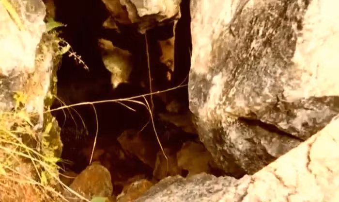 Sau đó, các chuyên gia khảo cổ được thông báo và họ khám phá ra rằng hang đá là một ngôi mộ cổ từ thời Chiến Quốc, có lịch sử khoảng 2.500 năm.