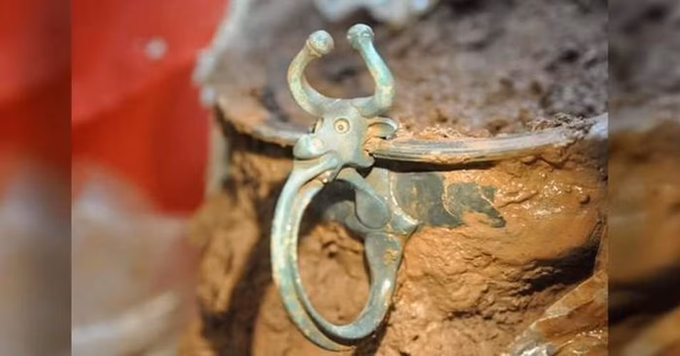 Jon Mathews quyết định liên hệ với chuyên gia, kết quả phân tích cho thấy đây là những món đồ La Mã lên tới 2.000 năm tuổi, tức là kho báu có giá trị vô cùng lớn.