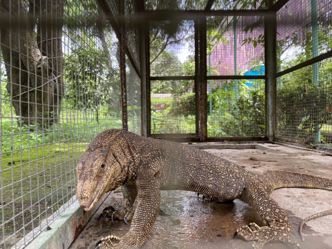 Ky da khong lo di lac o Khanh Hoa: Loai cuc hiem!