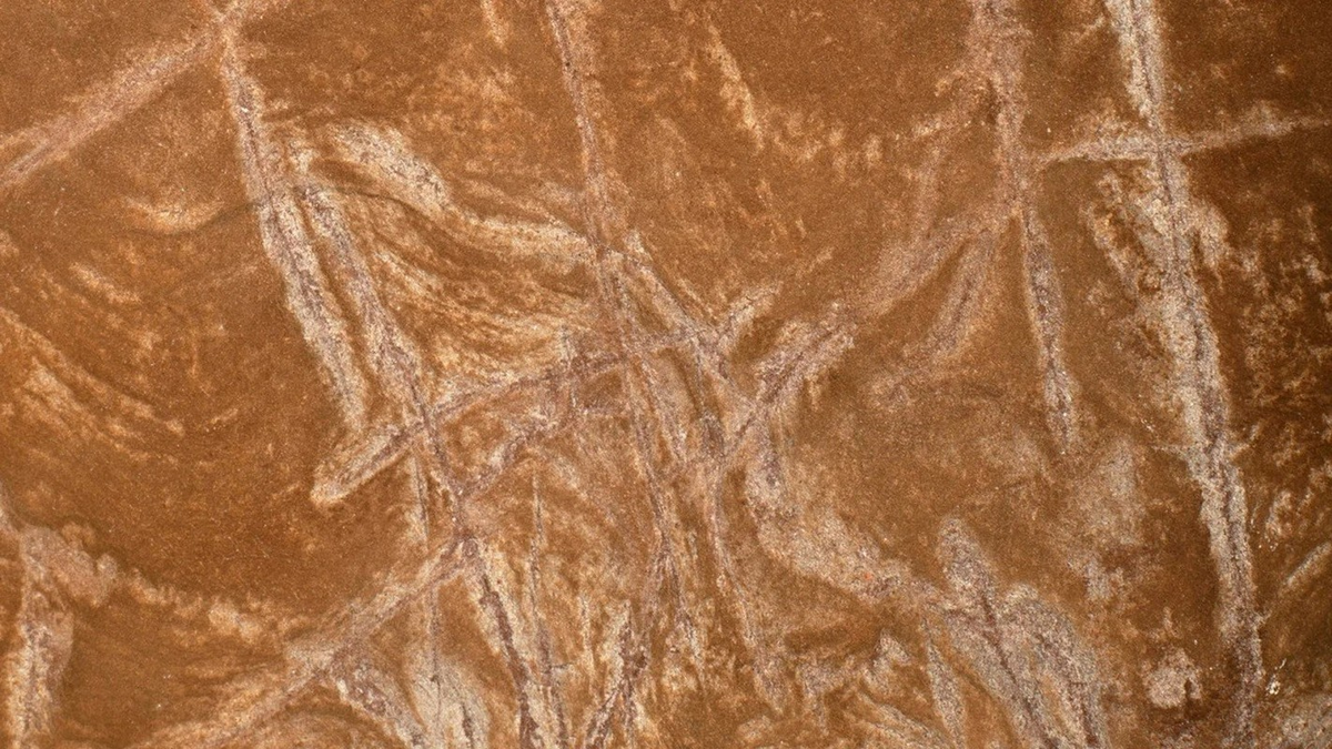 Đây là một thông tin hoàn toàn gây sốc, bởi cho dù có những bằng chứng cho thấy Homo naledi có thể đã biết đến lửa, nhưng dùng nó để nấu ăn hay cho các hành động văn minh hơn thì phải đợi rất lâu sau đó, khi loài người tinh khôn Homo sapiens chúng ta tiến hóa đến một mức độ nhất định.