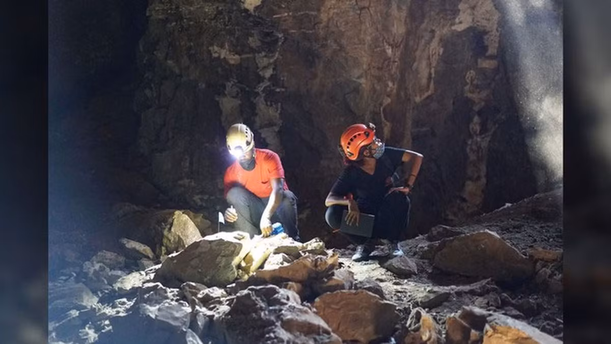 Theo Tiến sĩ nhân chủng học John Hawks nhận định, việc tìm thấy các hài cốt của người Naledi bao gồm cả người lớn và trẻ em trong hang động cho thấy họ đã sống như một quần thể. Cuộc sống của vẫn còn khá nhiều bí ẩn chờ đợi giới khoa học đi tìm lời giải.