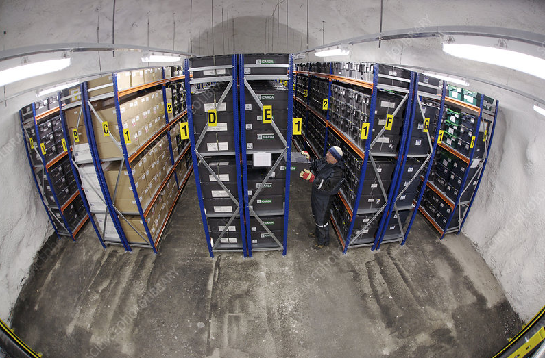 Việc bảo tồn và bảo vệ hạt giống là một bước quan trọng để đảm bảo an ninh lương thực toàn cầu và sự tồn tại của loài người.