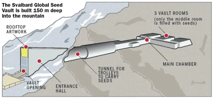 Hầm hạt giống Svalbard là một tòa nhà hình nêm màu xám, nhô ra từ một ngọn núi, tạo nên một bức tranh độc đáo giữa vùng tuyết trắng bao quanh. Đây không chỉ là một công trình kỹ thuật ấn tượng, mà còn là biểu tượng của sự quan tâm và chuẩn bị của con người để đối mặt với những thách thức tương lai.