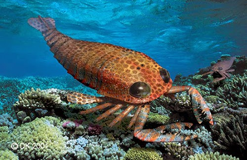 Nó có khả năng bắt và khuất phục những con mồi nhỏ hơn, từ các loài cá cho đến động vật không xương sống và thậm chí là các bọ cạp biển khác.