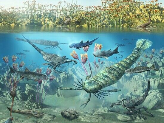 Sự hiện diện của nó có thể đã có tác động lớn đến hình thái, hành vi và phân bố của các sinh vật biển khác trong thời kỳ cổ đại.