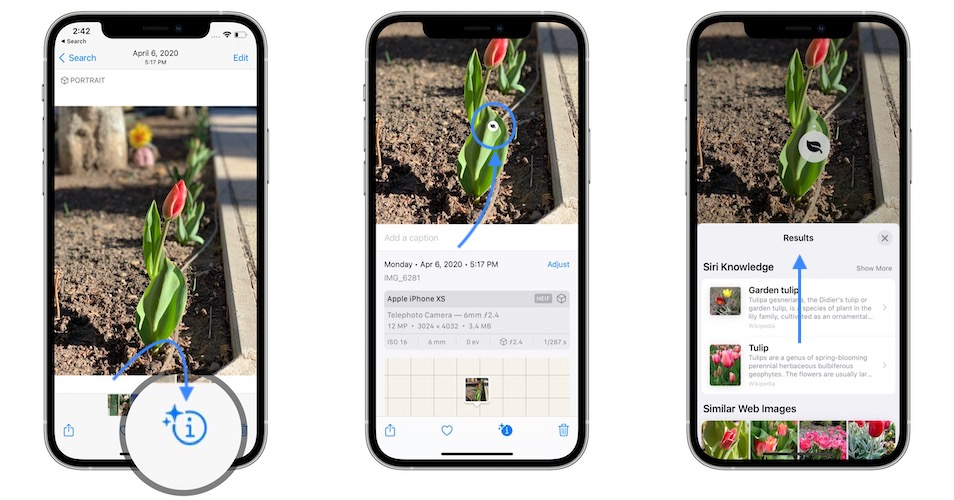 Cụ thể, trong trường hợp người dùng vô tình gặp một loại hoa hoặc cây đặc biệt, họ có thể tìm kiếm nó rất dễ dàng chỉ bằng thao tác quay lại mà không cần chụp ảnh.