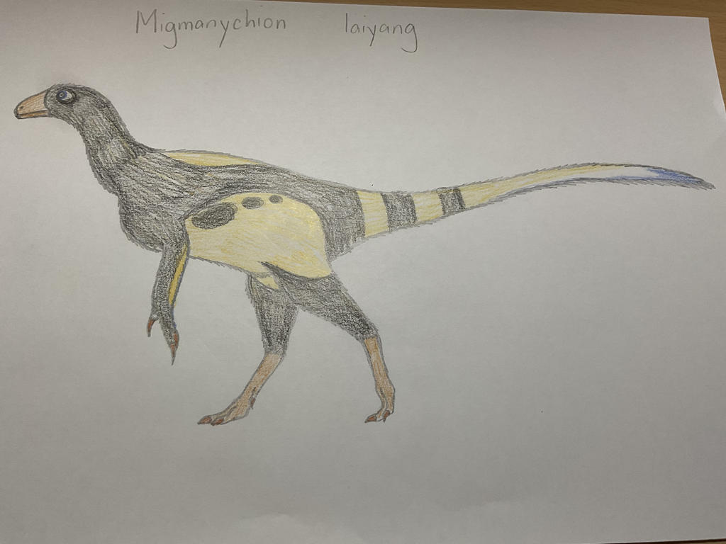 Điều đặc biệt là các thành viên maniraptorian xuất hiện lần đầu trong hồ sơ hóa thạch từ kỷ Jura và đã phát triển thành các loài chim hiện đại ngày nay. Nhóm này được xem là tổ tiên của các loài chim.