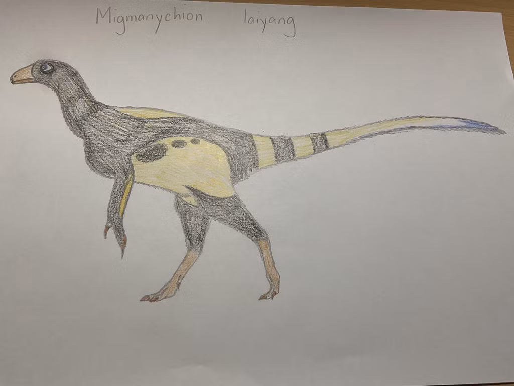 Điều đặc biệt là các thành viên maniraptorian xuất hiện lần đầu trong hồ sơ hóa thạch từ kỷ Jura và đã phát triển thành các loài chim hiện đại ngày nay. Nhóm này được xem là tổ tiên của các loài chim.