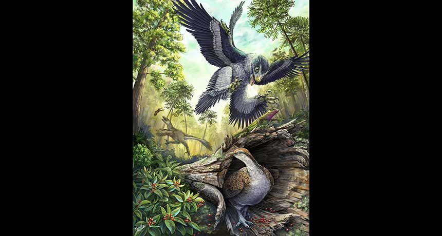 Trong thế giới hóa thạch đầy bí ẩn, một phát hiện mới đã làm dấy lên sự tò mò của các nhà khoa học.