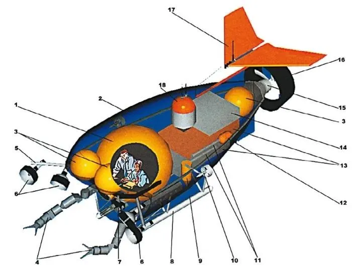 Để thực hiện chuyến đi này, Cameron đã tới Nga để nhờ sự hỗ trợ của 2 tàu ngầm mini Mir-1 và Mir-2. Đây được xem là những phương tiện dưới nước tốt nhất thế giới vào thời điểm đó.