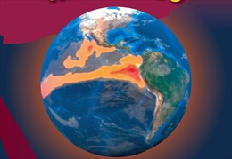 Theo thông tin từ Tổng Giám đốc WHO, ông Tedros Adhanom Ghebreyesus, năm 2023 và 2024 được dự báo sẽ có sự kiện El Nino có thể làm tăng khả năng lây truyền các bệnh sốt xuất huyết và các loại arbovirus khác như Zika và chikungunya.