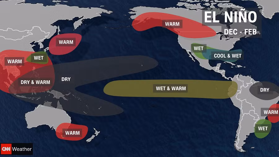El Nino cũng ảnh hưởng đến chu trình sống của động và thực vật. Sự thay đổi nhiệt độ và lượng mưa không thể đoán trước là những yếu tố quan trọng trong việc tạo ra một môi trường thuận lợi cho sự phát triển và lây lan của các loại virus.