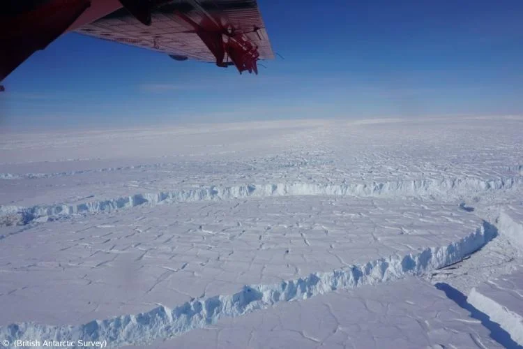 Một trong những lý do chính dẫn đến tình trạng này là sự tác động của biến đổi khí hậu.