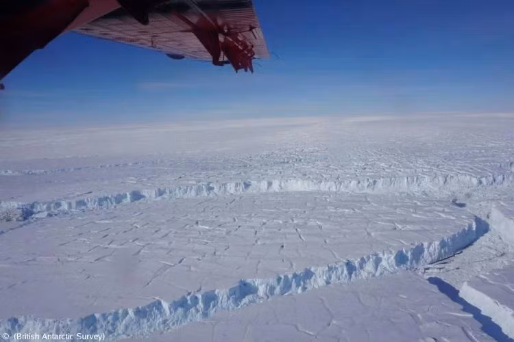 Một trong những lý do chính dẫn đến tình trạng này là sự tác động của biến đổi khí hậu.