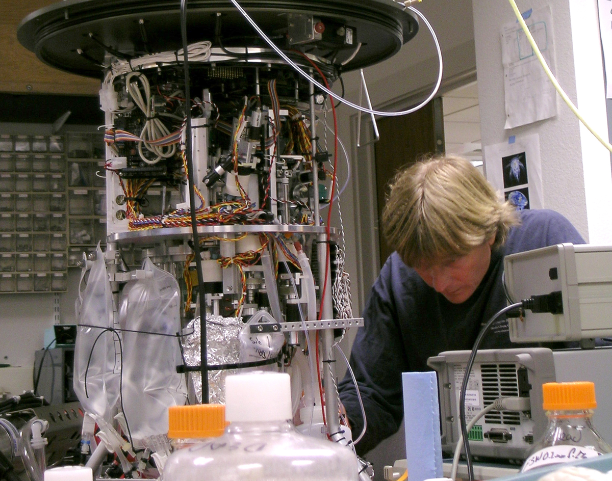 Nhóm nghiên cứu đã lập bản đồ các mối liên kết gien được tìm thấy cùng nhau trên một nhiễn sắc thể duy nhất của nhiều loài động vật.