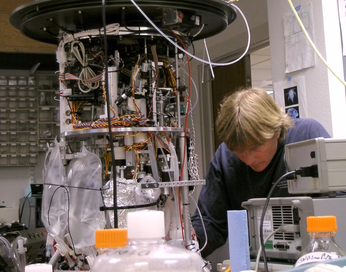 Nhóm nghiên cứu đã lập bản đồ các mối liên kết gien được tìm thấy cùng nhau trên một nhiễn sắc thể duy nhất của nhiều loài động vật.