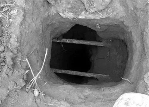 Kết quả cho thấy, cặp nến mà lão nông tìm thấy được làm từ ngọc trắng tự nhiên cao cấp, giá trị rất lớn trên thị trường. Tuy nhiên, họ chưa xác định được nguyên nhân vì sao chúng lại có thể phát sáng.