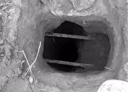 Kết quả cho thấy, cặp nến mà lão nông tìm thấy được làm từ ngọc trắng tự nhiên cao cấp, giá trị rất lớn trên thị trường. Tuy nhiên, họ chưa xác định được nguyên nhân vì sao chúng lại có thể phát sáng.