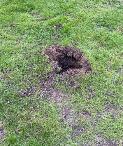 Ban đầu, họ nghĩ rằng có khí ga rò rỉ trong khu vực và gọi đội cứu hỏa đến kiểm tra. Tuy nhiên, đội cứu hỏa nhận ra rằng đá có thể là một thiên thạch.