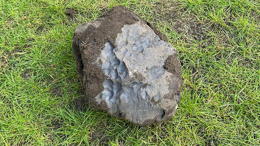 Thông tin về việc tìm thấy thiên thạch trong vườn nhà Mahmut được công bố, và nhiều người trên toàn thế giới đã đề nghị mua lại nó.