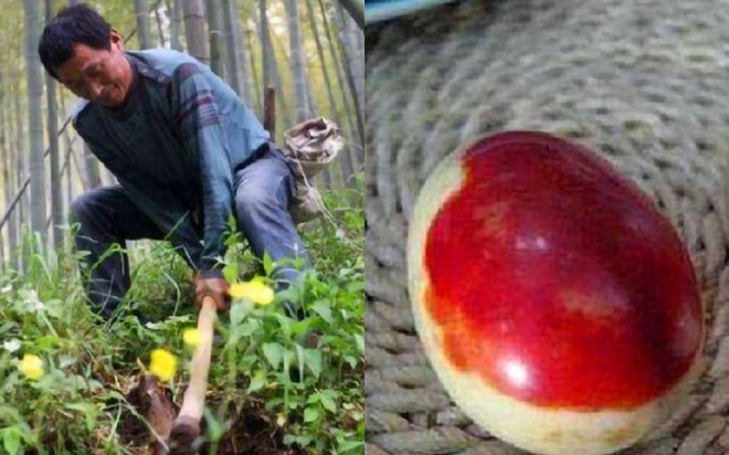 Tuy nhiên, lão nông đã từ chối bán và cho biết nếu đá này là di vật lịch sử thì nó nên thuộc về quốc gia