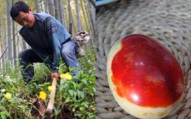 Tuy nhiên, lão nông đã từ chối bán và cho biết nếu đá này là di vật lịch sử thì nó nên thuộc về quốc gia