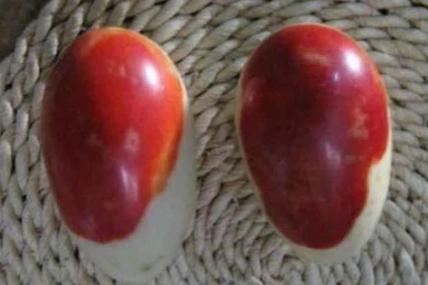 Cặp đá hình trứng cũng thường xuất hiện vào thời kỳ này.