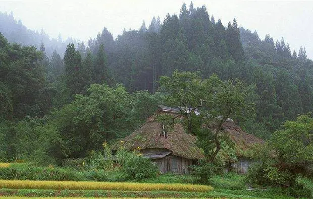 Một lão nông ở tỉnh Tứ Xuyên, Trung Quốc, đi lên núi đào măng như mọi ngày. Tình cờ, ông đào được một cặp đá hình trứng kỳ lạ có màu đỏ như máu mà không ngờ là mình lại " va phải" một báu vật.