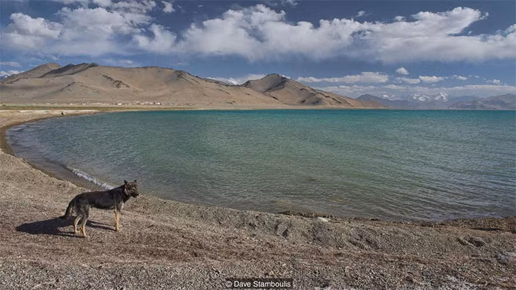Mùa hè, hồ Karakul thu hút du khách mạo hiểm từ khắp nơi trên thế giới để tham gia các hoạt động như lướt ván, thả diều và trượt nước. Tuy nhiên, đường đi đến hồ Karakul khá khó khăn.