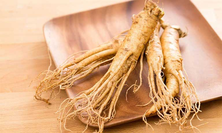 Định hướng đến năm 2045 phát triển loại củ "quốc bảo" của Việt Nam sẽ trở thành ngành hàng mang thương hiệu quốc tế, có giá trị xuất khẩu cao, tạo nguồn thu quan trọng cho các địa phương, phấn đấu đưa Việt Nam trở thành nước sản xuất Sâm lớn trên thế giới.