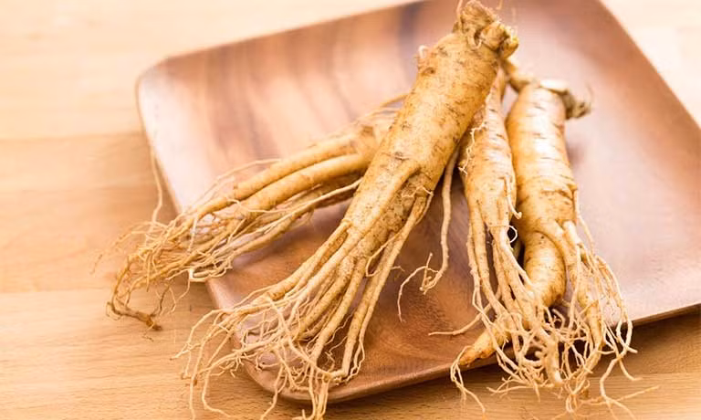 Định hướng đến năm 2045 phát triển loại củ "quốc bảo" của Việt Nam sẽ trở thành ngành hàng mang thương hiệu quốc tế, có giá trị xuất khẩu cao, tạo nguồn thu quan trọng cho các địa phương, phấn đấu đưa Việt Nam trở thành nước sản xuất Sâm lớn trên thế giới.